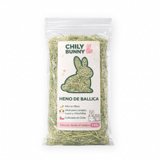 Heno de ballica 1 Kg