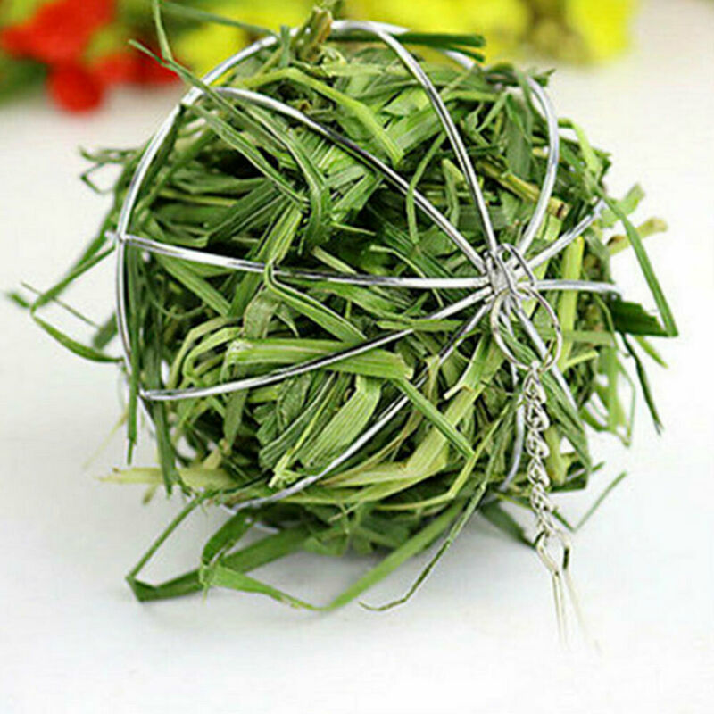 Bola Dispensadora de Heno para Conejos, Cobayas y Jerbos