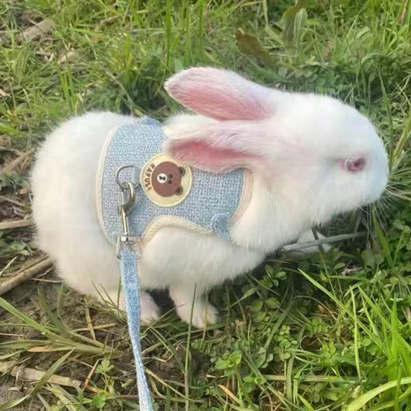 Arnés para Conejos + Correa Ajustable