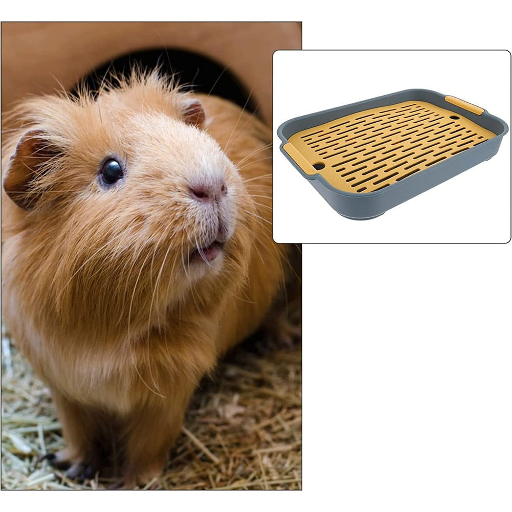 Baño para Mascotas: La Higiene de tu Compañero Peludo en un Solo Producto