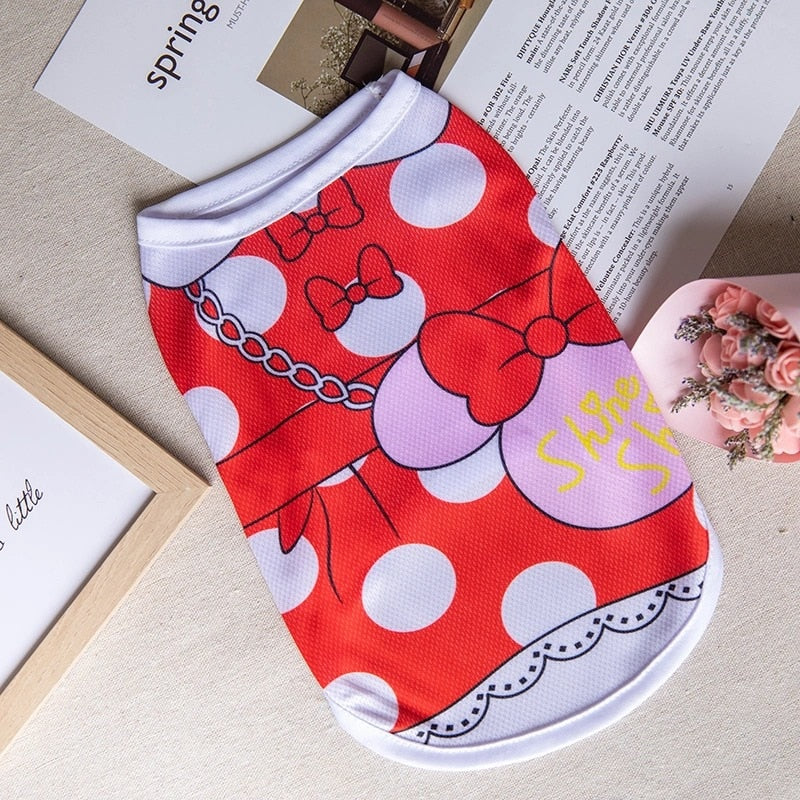 Ropa Única para Conejos a la Última Tendencia