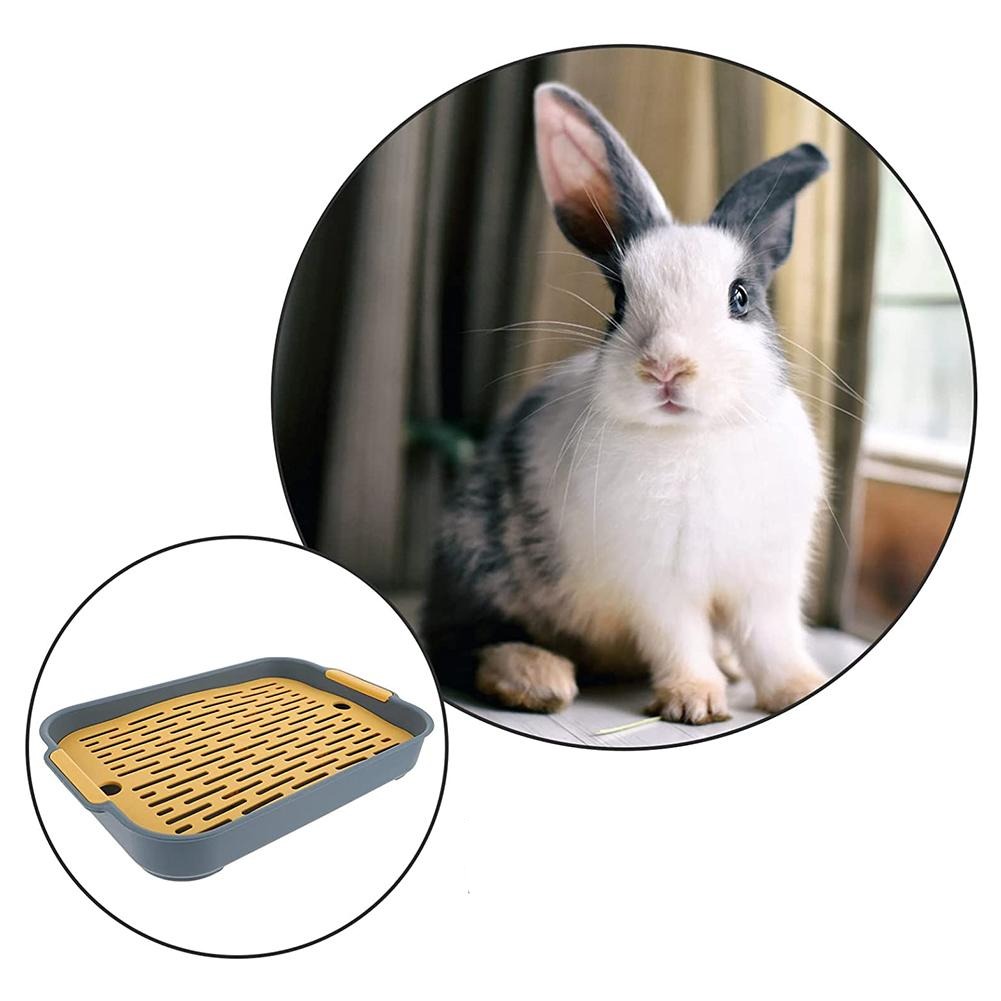 Baño para Mascotas: La Higiene de tu Compañero Peludo en un Solo Producto